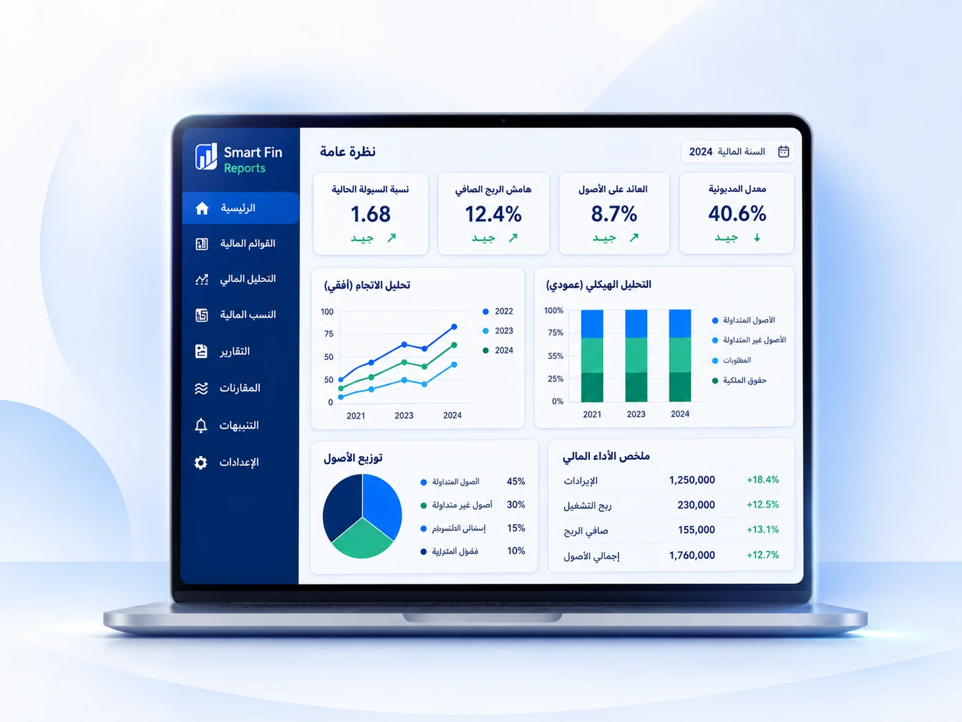 Smart Fin Reports financial statement and ratio analysis dashboard